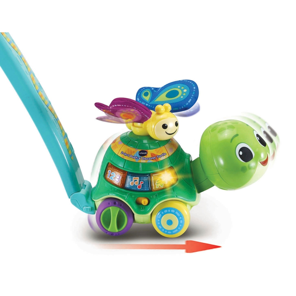 2-in-1 Push & Discover Turtle
