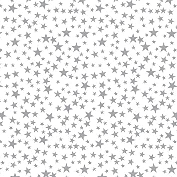 Printed Tissue Paper Silver Stars 5 Sheets
