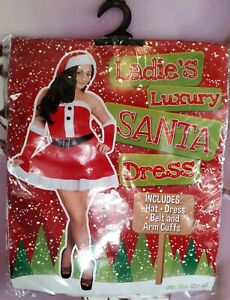 Ladies Luxury Santa Dress